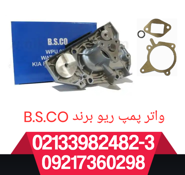 واتر پمپ ریو چینی