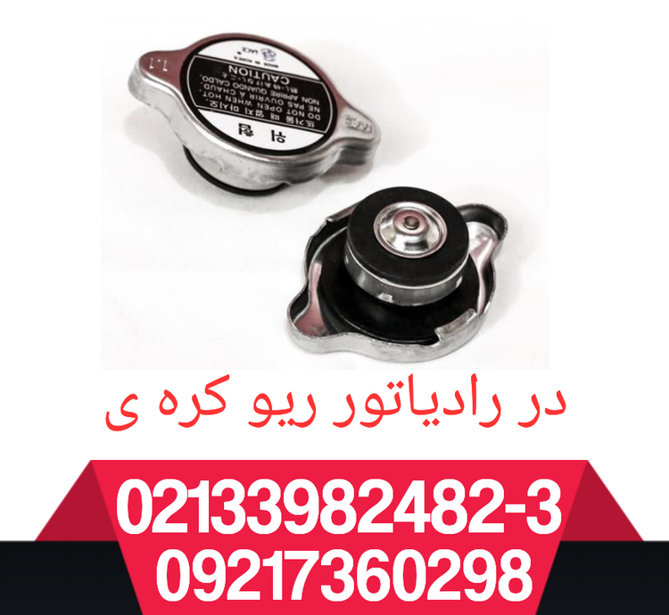 در رادیاتور ریو